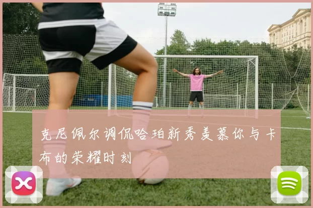 克尼佩尔调侃哈珀新秀羡慕你与卡布的荣耀时刻